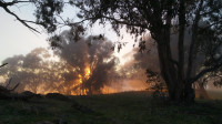 Back of Yack , approx. 8km grade 3 - 8.30 am at Yackandandah