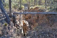  The Evening Star Mine area on Rocky Point Track.  