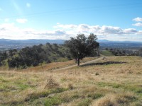 Huon Hill Grade 3 Morning walk