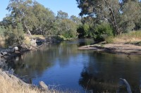 Kiewa River from Killara going upstream.