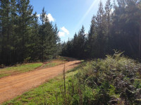  Rail Trail, 13km, Grade 3. Darbyshire to Bullioh Grade 3