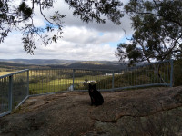  Morning Walk, 7km, Grade 3, Ingrams Rock, Fiddess Quarry, The Precipice, Bakery at Beechworth. 