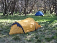Overnight Hike Medium Mt Bogong via Mulhauser Spur track