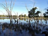 Chiltern Mt Pilot NP Car Camp and Half Day Walk 7km Grade 3