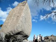 The Big Walk Mt Buffalo - grade 3, 11km one way, 22km return