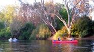 After work Canoe Murray River