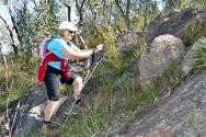 Friends of Nail Can Hill Weed ID and removal day