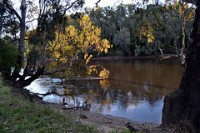 Clean up Australia - Lake Hume   