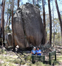 Mt Buffalo Best of the Big Walk Grade 3 Day Walk 10km 4 hours