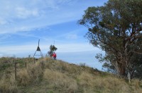 Maher's Hill. Grade 3 half day walk.