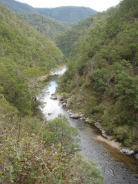  Harrington's Track in Spring. Grade 3 Day Walk,6- 20 km, Bunroy Station. Meeting 8.30 AM at Indi Bridge Reserve.