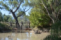 Murray River - Lemke's Bridge Grade 2 morning walk