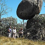 Back Wall Mt Buffalo  Easy day walk  approx 10km's 