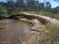 Yack Creek Short walk 5km Grade 2 and Morning Tea