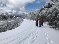  Mt Buffalo Snow Shoeing,10km Grade 3. 