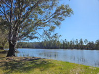 Lake Moodemere Walk, 12km return Garde 3. This walk is for the ones not going for a paddle.