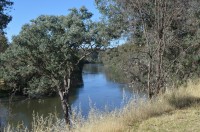 Clean Up Australia