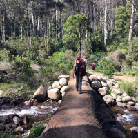  Mt Buller 22km, grade 4, backpacking 