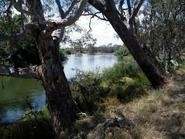 After Work Evening Walk Murray River