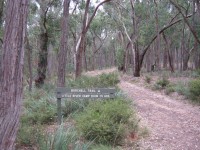 Burchell Trail - 1 day Grade 3  13 km Walk 