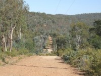 The Commercial Club Nail Can Hill Run    (or walk!)