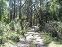 Lake Williams Loop 14 km Grade 3 Day Walk. Meeting 8am at Bunnings Wodonga