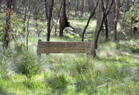 Hume and Hovell Walking track Stage 5 Grade 3 Day Walk 17 km 7 hours