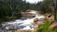 Clear Creek Falls and Lookout, 8km Grade 3 daywalk