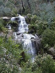 Hard Day Walk Indigo Falls to Baranduda