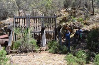 Half day exploration of Wallaby Mine
