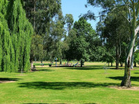  Park Walk Loop, 7km starting at David Bayne Park Wodonga 8am Grade 2