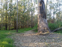 Kiewa River Track, 10 km grade 2