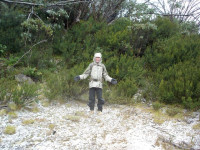  Car Camp .Trevor's Memorial walk to Black Jack Fire Tower, grade 3, 10-15km. Postponed