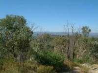 Nail Can Hill