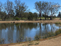 Social BBQ at Rutherglen, plus 1.2 km walk