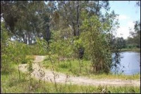 Kiewa River Track 10km return. Grade 2.Meeting 8am at Killara Picnic Ground