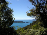 NZ, Queen Charlotte Track,4 Days,71km, Grade 3 walk.  