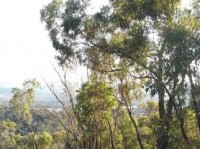 Cocoparra National Park - Car Camp