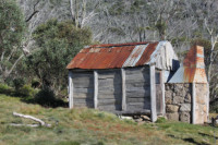 Teddys Hut, Kosciuszko National Park. Grade 4, Backpacking 3 days, approx 30 km return