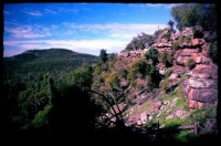 Cocoparra National Park