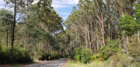 7Peaks cycle and drive Victorian mountains clockwise.  Hundreds of kilometres, 10 days, grade 5.