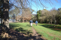 Wonga Wetlands, Albury: 8km - grade 2 Day Walk