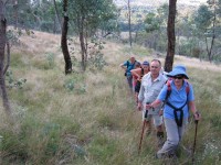 Henry The Grazier - Upper Murray Car Camp