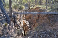 Wallaby mine from Yackandandah