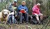 Koetong State Forest