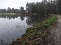 Wonga Wetlands