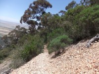 Mt Remarkable National Park