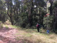 Mt Brutal or Emperor Loops Grade 4 and a Grade 3 Day Walk