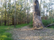  Kiewa River Track, 10 km grade 2