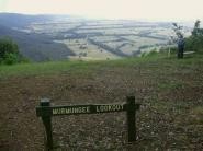 Tracks around the Murmungee Lookout